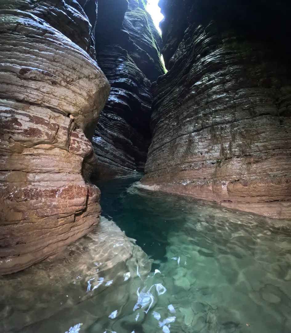 1702480014835_risultato