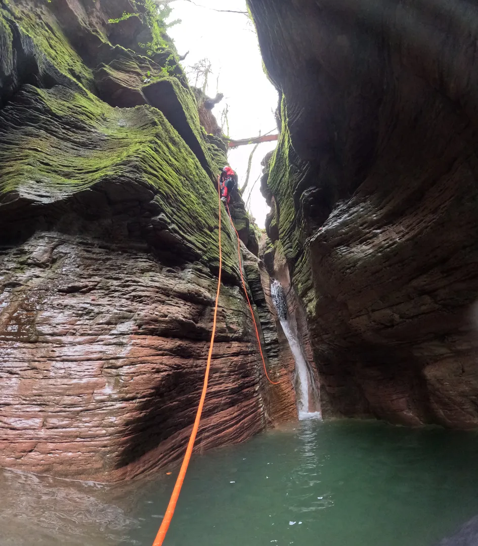 1727729613431(1)_risultato