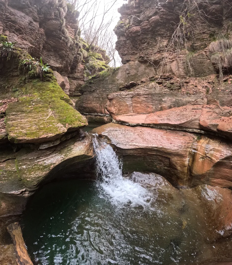 1727729613448_risultato