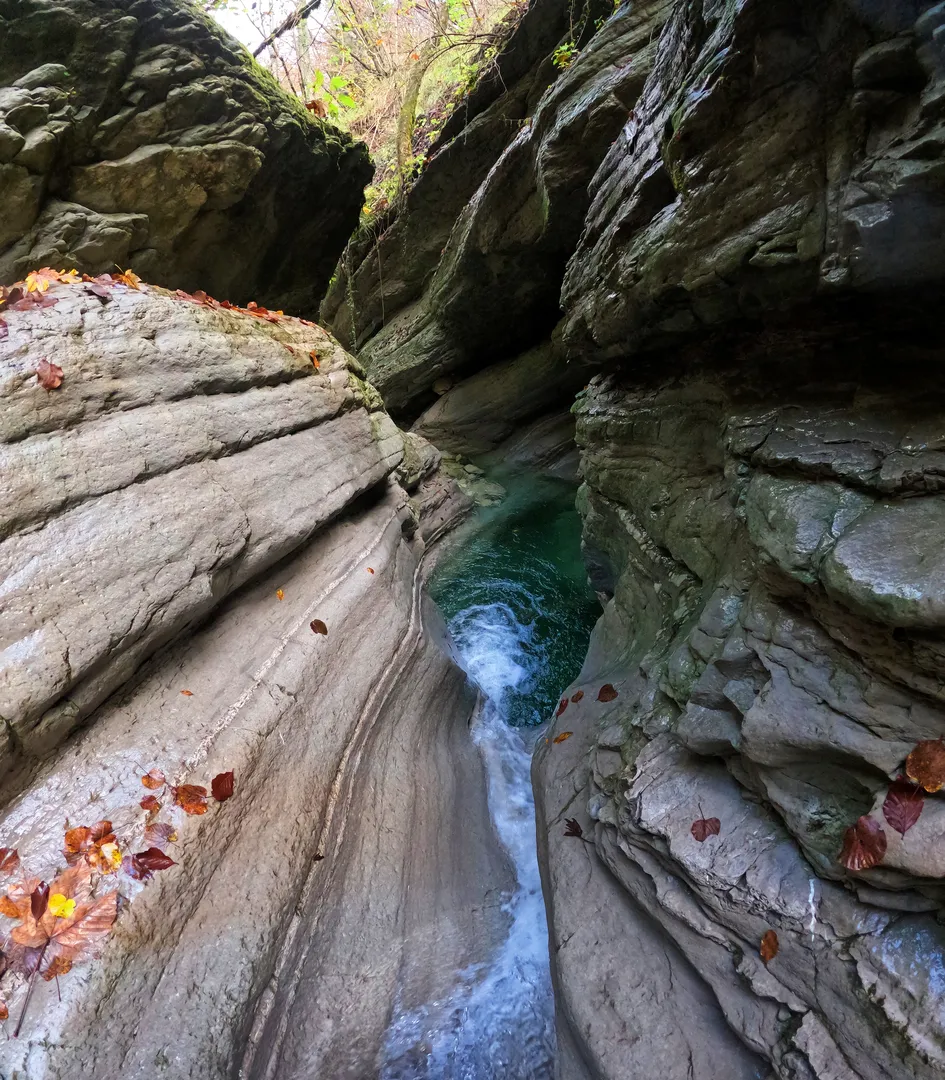 1733463169758_risultato