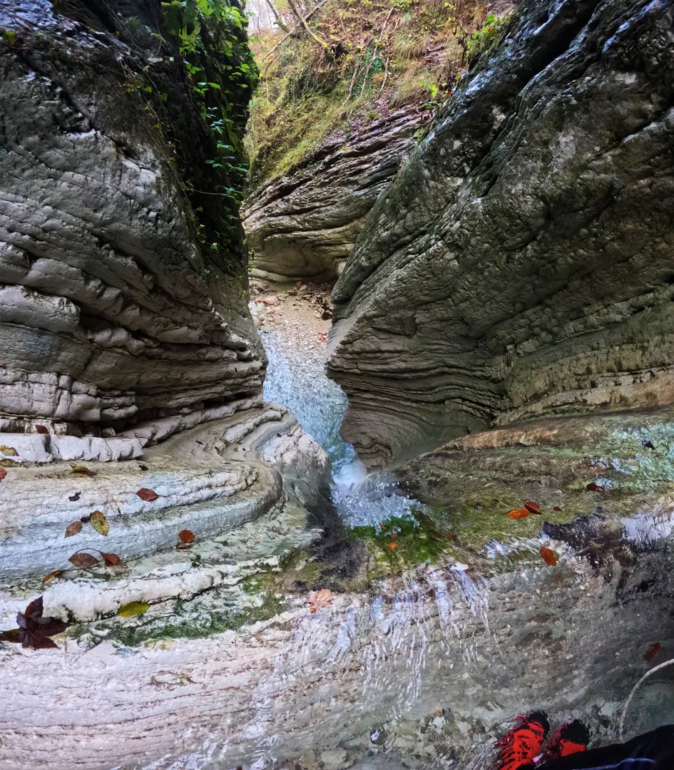 1733463169766_risultato